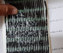 Lưới Che Nắng 60%